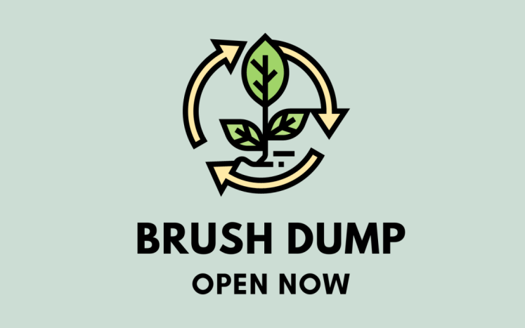brush dump open