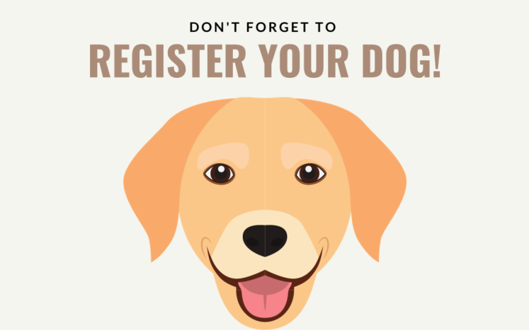 dog registration 